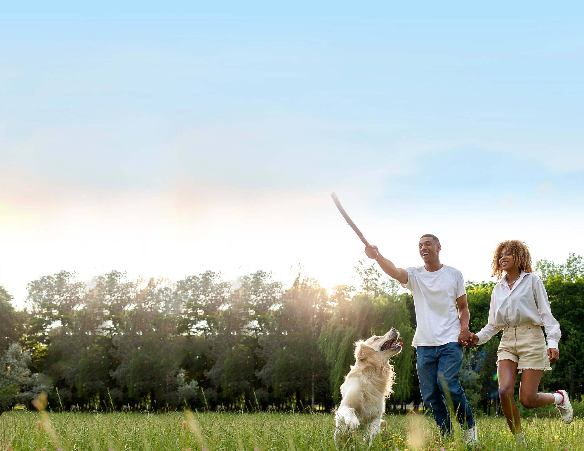 Raleigh Property Management Client Testimonials